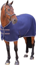 Tempest Original Gesteppte Weidedecke Pferde Cooler ER478 Tintenblau 165cm – Bild 1 von 1