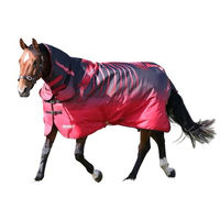 Produktbild von Tempest Original Konturiert Skelett Pferde Combo-Weidedecke Rot 152cm