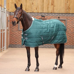 Produktbild von Tempest Original Stalldecke für Pferde in Grün - 200 g