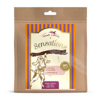 Produktbild von Terra Canis Chewy Champs Lammpansen Hundesnack Monoprotein und Getreidefrei 150 g - 250 g