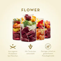 Produktbild von Terra Canis Hundefutter Alpenblüte Flower Menü Rind mit Erdäpfeln, Marille und Bergkräutern Stückchen in Sauce 6x400g - 6 x 400 g