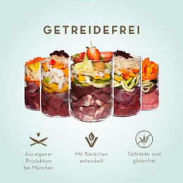 Terra Canis Hundefutter Lamm Stückchen in Sauce getreidefrei und glutenfrei 6 x 800 g - 6 x 800 g – Bild 1 von 6