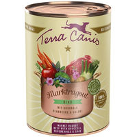 Produktbild von Terra Canis Hundefutter Ragout Rind mit Brokkoli getreidefrei Adult 6x385g