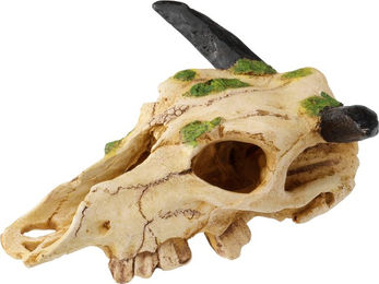 Terra Della Caraboa Schädel Terrarium Dekoration Größe S 22 cm – Bild 1 von 3