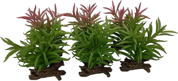 Terra Della Crassula Terrarium Dekoration realistische Pflanze 13x10,5x16cm – Bild 1 von 3