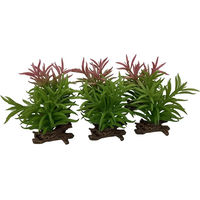Produktbild von Terra Della Crassula Terrarium Dekoration realistische Pflanze 13x10,5x16cm