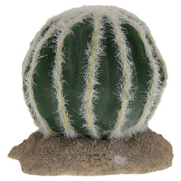 Terra Della Dekoration Kaktus Echinocactus grün 9x7,5cm – Bild 1 von 3