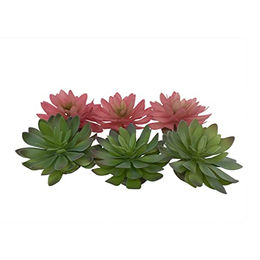 Terra Della Echeveria Terrarium Dekoration für Reptilien grün/rot 14 x 12,5 x 9,2 cm – Bild 1 von 5