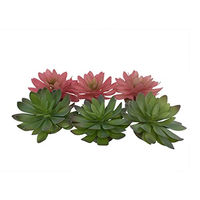 Produktbild von Terra Della Echeveria Terrarium Dekoration für Reptilien grün/rot 14 x 12,5 x 9,2 cm