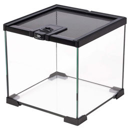 Produktbild von Terra Della Glas-Terrarium Schwarz für Reptilien und Insekten 20 x 20 x 20 cm