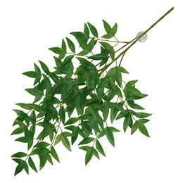 Produktbild von Terra Della Hängepflanze Nandina für Reptilien aus Kunststoff Grün 65 x 35 x 1,5 cm