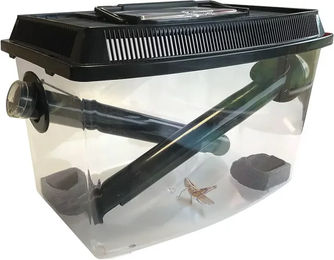 Terra Della Heuschreckentank Grillenkasten für Insekten 30x19x20 cm mit Futterschale – Bild 1 von 5