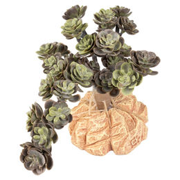 Terra Della Kunstharz Wüstenpflanze Sedum spurium grün 15 x 11 x 10 cm – Bild 1 von 1