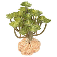 Produktbild von Terra Della Kunstpflanze Aeonium grün 8 x 8 x 14 cm