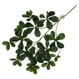 Terra Della Kunstpflanze Aralia Liane aus Kunststoff in Grün mit Saugnäpfen für Terrarien 60 x 30 x 6 cm – Bild 1 von 2