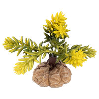 Produktbild von Terra Della Kunstpflanze Sedum morganianum Wüstenpflanze grün 8 x 8 x 12 cm