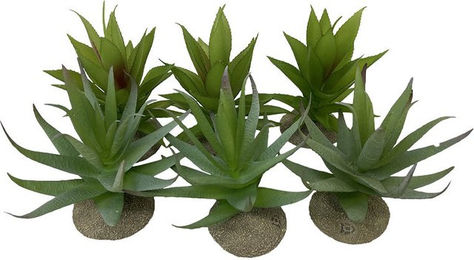 Terra Della Terrarium Dekoration Aloe Pflanze realistisch 12x11x11,5 cm – Bild 1 von 3