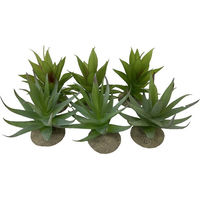 Produktbild von Terra Della Terrarium Dekoration Aloe Pflanze realistisch 12x11x11,5 cm
