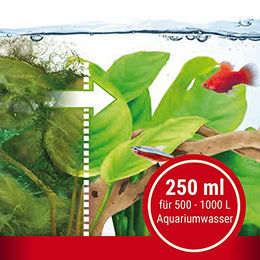 Tetra AlguMin Algenmittel für Süßwasser Aquarien 250 ml - 250 ml – Bild 1 von 11