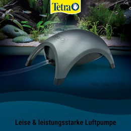Tetra APS 300 Aquarium Luftpumpe für Fische Schwarz – Bild 1 von 12