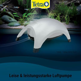 Tetra APS 400 Luftpumpe für Aquarien von 250 bis 600 Litern in Weiß – Bild 1 von 8