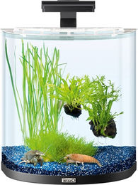 Tetra AquaArt Explorer Line Aquarium Komplett-Set 30L mit LED Beleuchtung in Anthrazit - 30 l – Bild 1 von 9