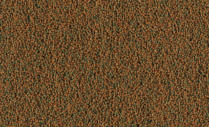 Tetra Cichlid Algae Mini Pellets Fischfutter für Buntbarsche 1 kg - 10 l – Bild 1 von 3