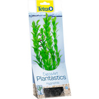 Produktbild von Tetra DecoArt Plantastics Hygrophila künstliche Aquariumpflanze für Süßwasser in Grün