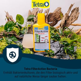 Tetra FilterActive Wasseraufbereiter mit Starter- und Reinigungsbakterien für Fische 100 ml - 100 ml – Bild 1 von 11