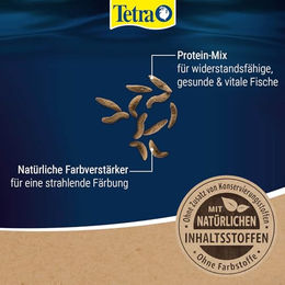 Tetra Goldfish Wave Sticks Fischfutter für Goldfische und Kaltwasserfische 100 ml Dose - 100 ml – Bild 1 von 6