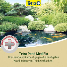 Tetra Pond MediFin Medikament für Teichfische 250 ml – Bild 1 von 9