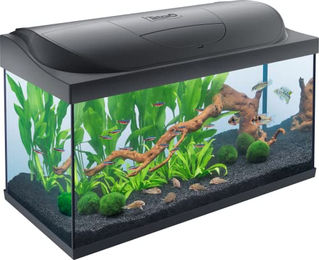 Tetra Starter Line 105 L Aquarium Komplett-Set für Fische mit LED-Beleuchtung, Innenfilter, Heizer, Fischfutter und Wasseraufbereiter - 105 l – Bild 1 von 6