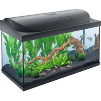 Produktbild von Tetra Starter Line 105 L Aquarium Komplett-Set für Fische mit LED-Beleuchtung, Innenfilter, Heizer, Fischfutter und Wasseraufbereiter - 105 l