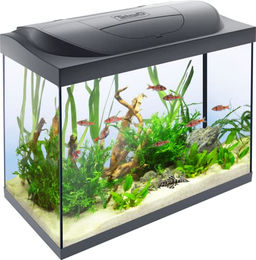 Tetra Starter Line 80 L Aquarium Komplett-Set mit LED-Beleuchtung, Innenfilter und Heizer in Schwarz – Bild 1 von 13