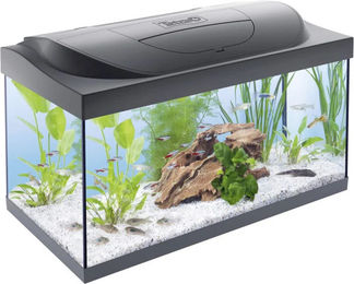 Tetra Starter Line Aquarium Komplett-Set 54L mit LED Tag- und Nachtbeleuchtung inkl. Filter Heizer Fischfutter und Wasseraufbereiter - 54 l – Bild 1 von 6