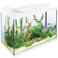 Produktbild von Tetra Starter Line LED Aquarium 80 L Weiß Komplett-Set