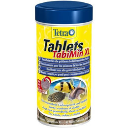 Tetra TabiMin XL Futtertabletten für Bodenfische und Garnelen 133 Stück - 133 Stk. – Bild 1 von 12
