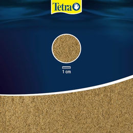 TetraMin Junior Fischfutter für Jungfische ohne Farb- und Aromastoffe sowie Konservierungsstoffe 100 ml Dose - 100 ml – Bild 1 von 12