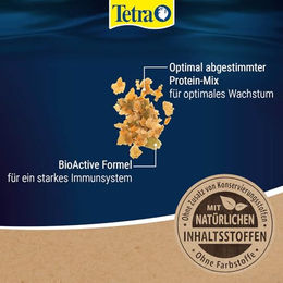 TetraMin XL Flakes Fischfutter für Süßwasserfische ohne Farb- und Aromastoffe sowie ohne Konservierungsstoffe 1000 ml Dose - 1 l – Bild 1 von 12