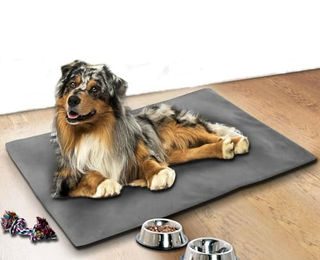 Textilhof Witte Hundematte Thermo Hundekissen wärmend und kühlend Grau – Bild 1 von 1