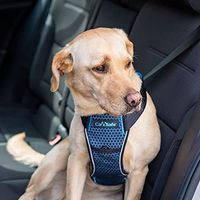 Produktbild von The Company of Animals CarSafe Crash-getestetes Hundesicherheitsgeschirr Blau Größe L