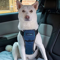 Produktbild von The Company of Animals CarSafe Crash-getestetes Hundesicherheitsgeschirr Blau Größe M - 1 Stk.