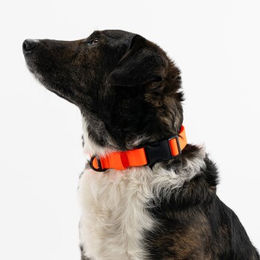 Produktbild von THE DOG IDEA Biothane Hundehalsband mit Klickverschluss Orange Größe M wasserabweisend