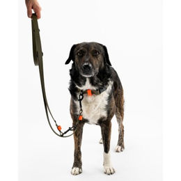 Produktbild von THE DOG IDEA Biothane Hundeleine wasserfest in Beige