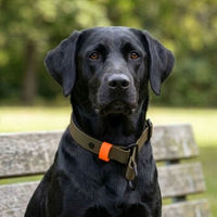 Produktbild von THE DOG IDEA Erziehungshalsband Zugstopp aus Biothane für Hunde Khaki XL