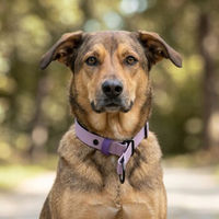 Produktbild von THE DOG IDEA Erziehungshalsband Zugstopp aus Biothane für Hunde XXL Lila
