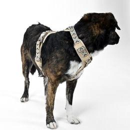 Produktbild von THE DOG IDEA Hundegeschirr Mokka Braun Beige Größe S mit Aluminium-Elementen