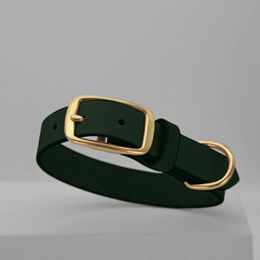 THE DOG IDEA Hundehalsband aus Leder in Dunkelgrün Größe XL – Bild 1 von 2