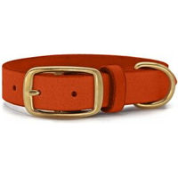 Produktbild von THE DOG IDEA Hundehalsband aus Leder in Orange Größe L