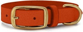 THE DOG IDEA Hundehalsband aus Leder in Orange Größe XL – Bild 1 von 1